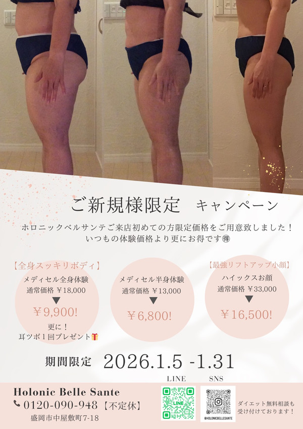 ホロニック盛岡LLC