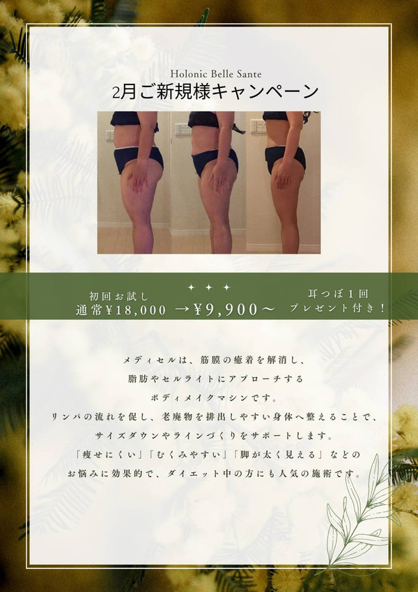 ホロニックベルサンテ(旧 ホロニック盛岡LLC)