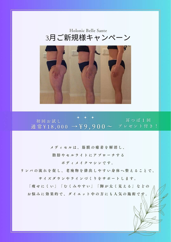 ホロニックベルサンテ(旧 ホロニック盛岡LLC)